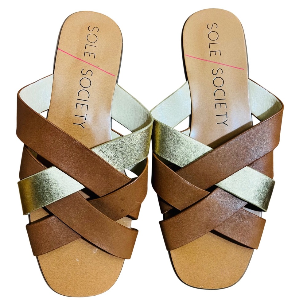 Sole Society Sharone Slide Sandals Brown Gold Metallic Multi Strap Flat 9M 40